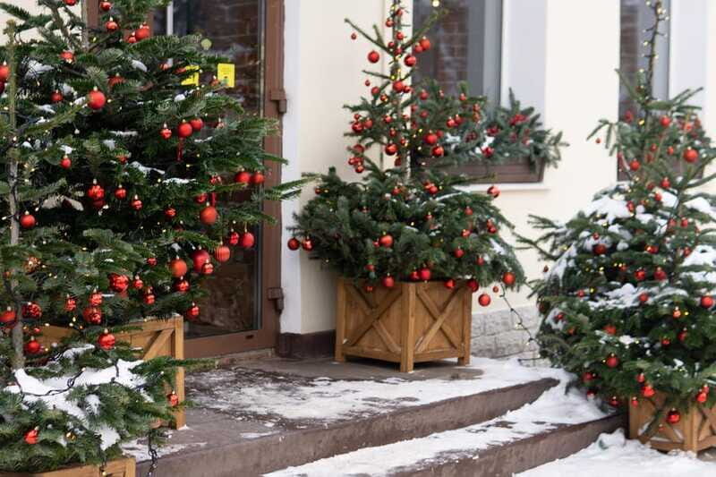 Vancouvers Festive Shoreline: A Christmas Walking Tour - FAQ