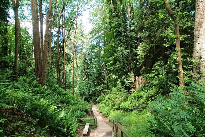 Vancouvers Natural Stair Master Workout, With Beach Walk - Good To Know