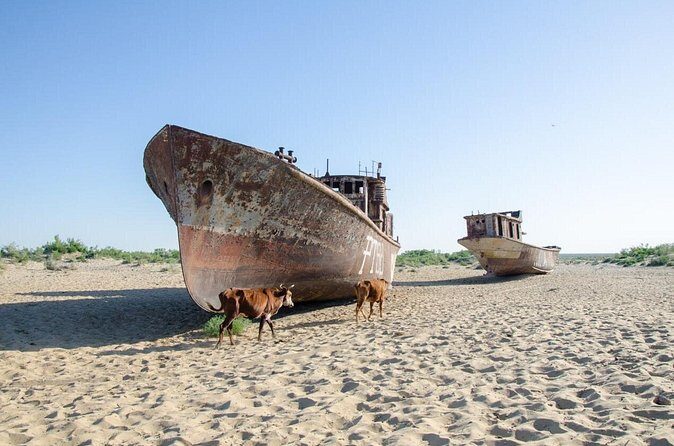 Vanishing Sea and the Forgotten Cities - Authentic Experiences & Local Insights