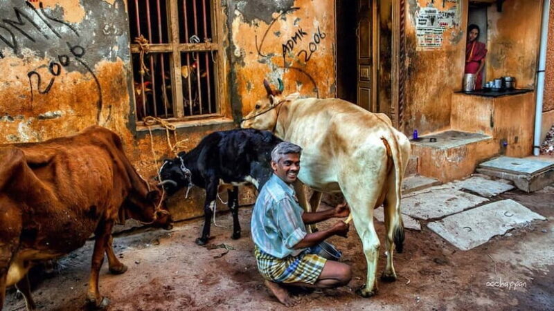 Vannakam Madurai - Explore Madurai like a local - The Sum Up: Is It Worth It?