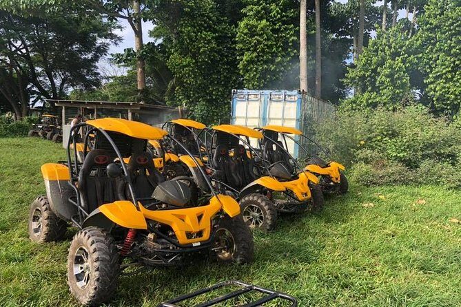 Vanuatu Buggy Adventure with Yumi Tours - The Packed Itinerary – What to Expect