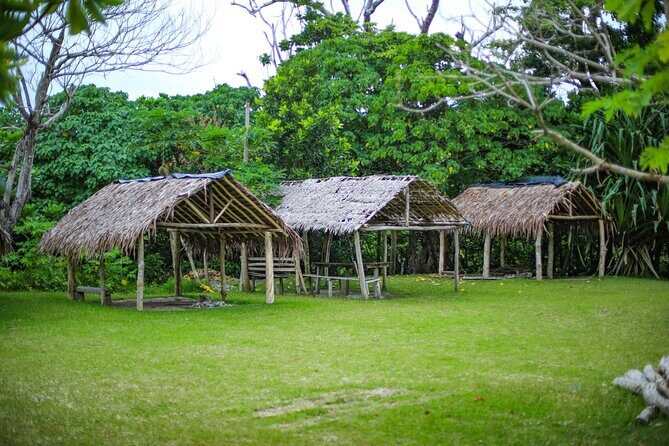 Vanuatu Cultural Village, Waterfalls, Turtles and Blue Lagoon - Who Would Love This Tour?