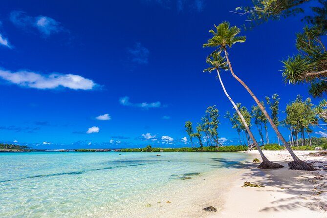 Vanuatu Highlights and Duty Free Shopping - Good To Know