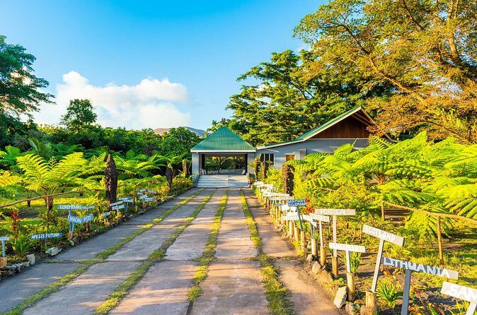 Vanuatu Island Discovery: Full Day Private Shore Tour from Port - The Sum Up: Who Will Love This Tour?