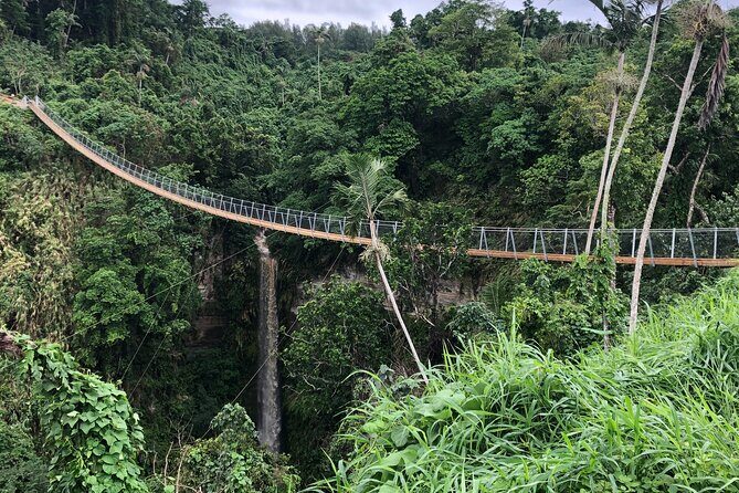 Vanuatu Jungle Zipline, Swing and Skybridge Combo with Transfer - Vanuatu Jungle Ziplines