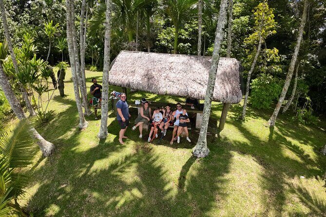 Vanuatu Skybridge with Transfers - The Sum Up