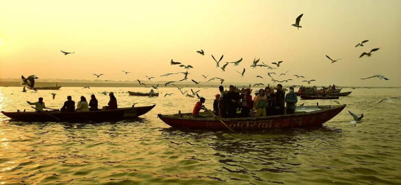 Varanasi Boat & Tour - Final Thoughts: Is This Tour Right for You?