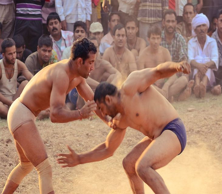 Varanasi: Private Akhada Wrestling Tour - Activity Description