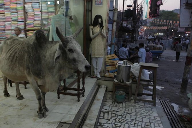 Varanasi Puzzled Alleys and Hidden Shrines - Navigating Through Intricate Alleys