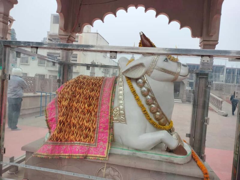 Varanasi & Sarnath Full Day Tour With Boatride Ganga Aarti - FAQs