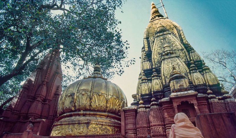 Varanasi Sunrise Ganges & Sarnath Private Tour - Ghats, rituals and Kashi Vishwanath Temple
