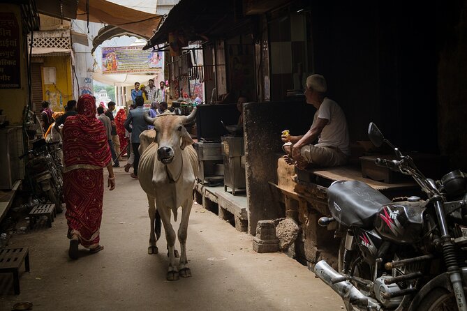 Varanasi Temples & Ganges River Cruise 3-Day Private Tour (Feb ) - Pricing Details