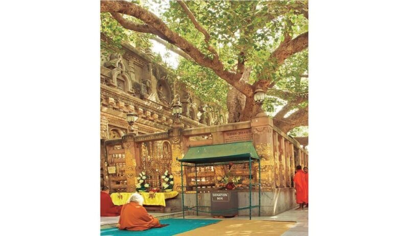 Varanasi to Bodhgaya : A day trip of Enlightment exploration - Arriving at Bodhgaya: The Heart of Buddhist Pilgrimage