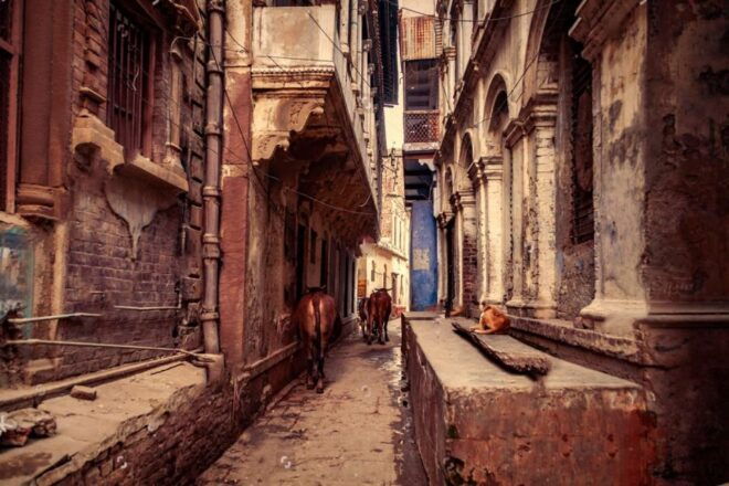 Varanasi: Varanasi Ghat & Temple Walking Tour - Customer Reviews
