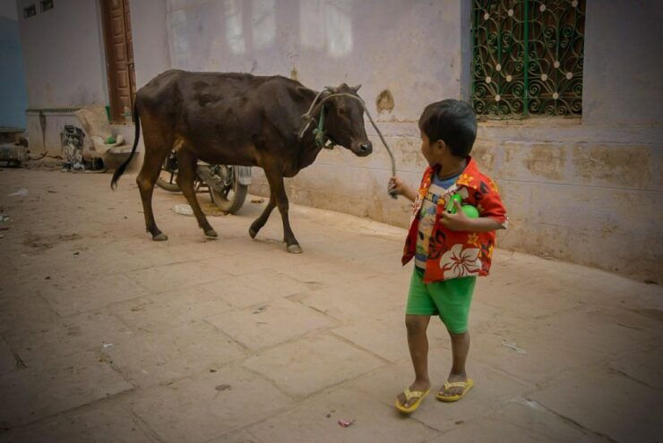 Varanasi Walking and Heritage Tour - Historical Significance of Varanasi