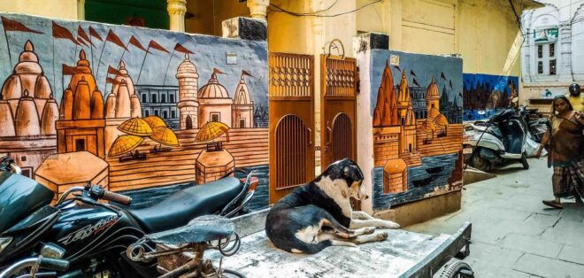Varanasi Walking and Heritage Tour - Highlights of the Varanasi Walking and Heritage Tour