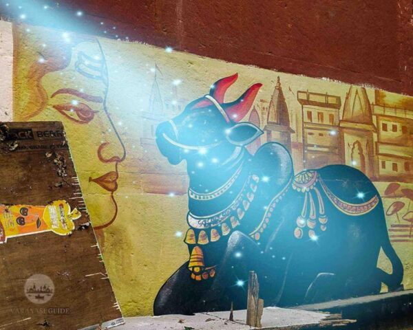 Varanasi Walking and Heritage Tour - Practical Information for the Varanasi Walking Tour