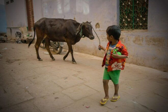 Varanasi Walking and Heritage Tour - Temples and Architecture in Varanasi