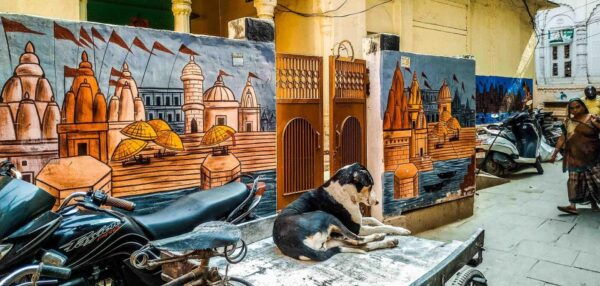 Varanasi Walking and Heritage Tour - Practical Information for the Varanasi Walking Tour