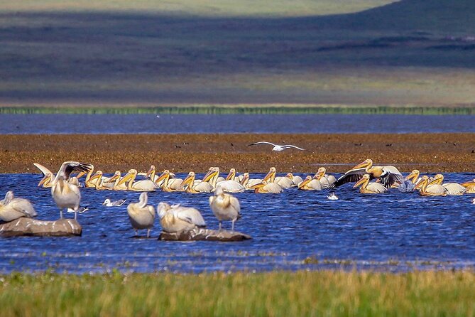 Vardzia. Lake Paravani, Khertvisi & Lomisa Castle, Rabati - Cancellation Policy