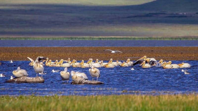 Vardzia. Lake Paravani, Khertvisi & Lomsia castle, Rabati - Final Thoughts