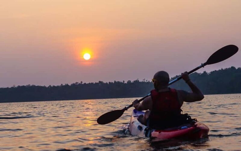 Varkala Mangrove Backwater Kayaking Trip from Trivandrum - Good To Know