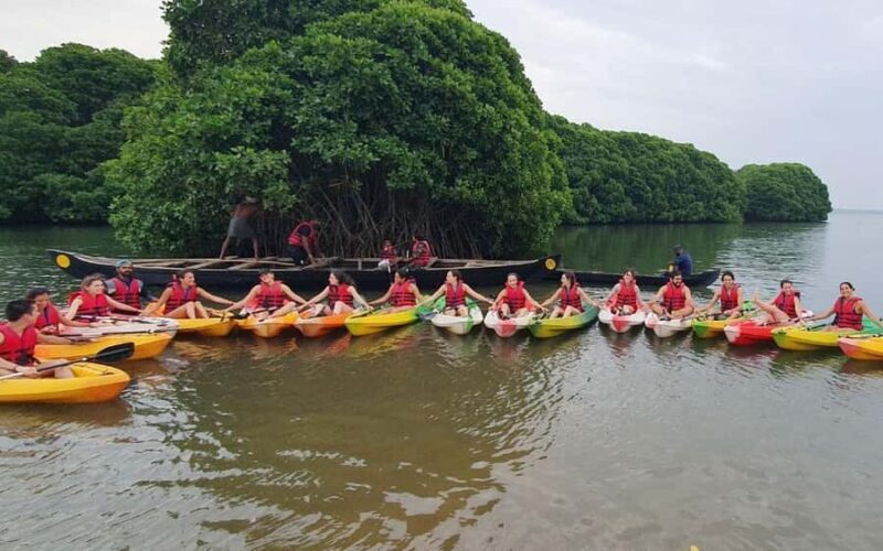 Varkala Mangrove Backwater Kayaking Trip from Trivandrum - Frequently Asked Questions