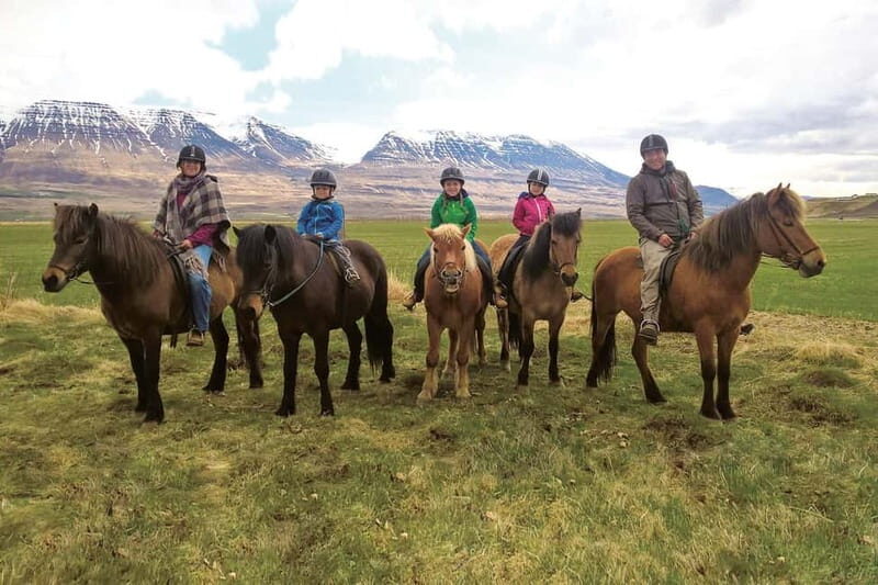 Varmahlid: 1-Hour Icelandic Horse Riding Tour - Exploring the Tour in Detail