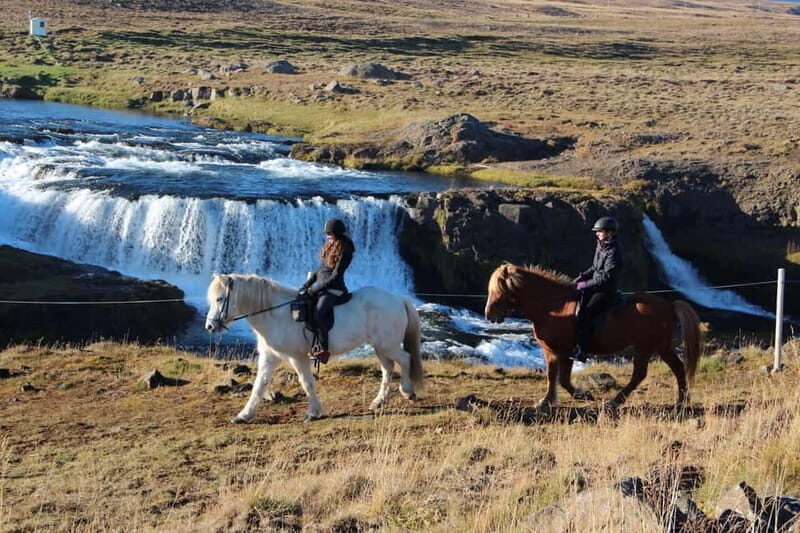 Varmahlid: Viking Horse Riding Tour - Why You’ll Love the Varmahlid Viking Horse Riding Tour