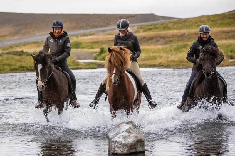 Varmahlid: Viking Horse Riding Tour - What’s Included and What to Consider