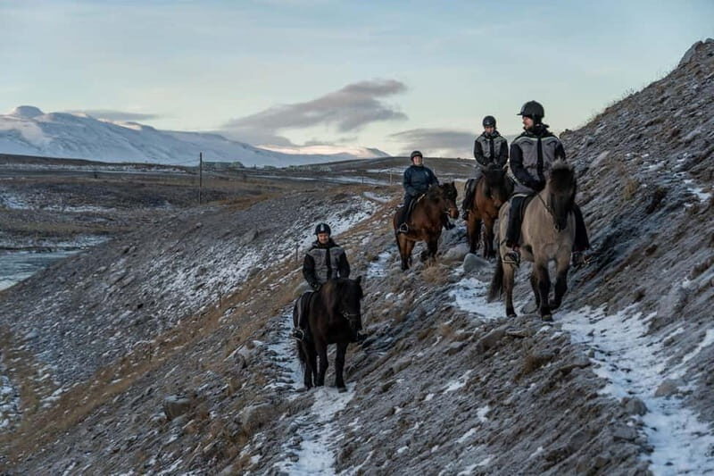 Varmahlid: Viking Horse Riding Tour - FAQ