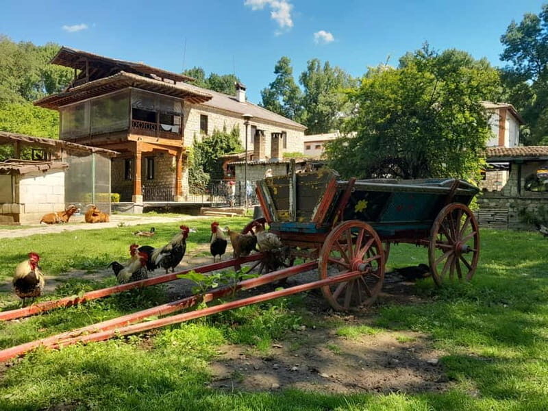 Varna: Guided VIP Tour - Exploring Bulgaria’s Heart: A Guide to the Varna: Guided VIP Tour