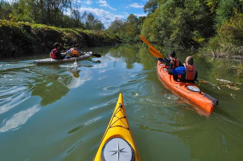 Varna: Kamchia River Kayaking Day Tour - An In-Depth Look at the Kamchia River Kayaking Tour