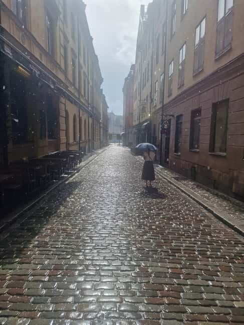 Vasa Museum and Icebar Stockholm - Good To Know  