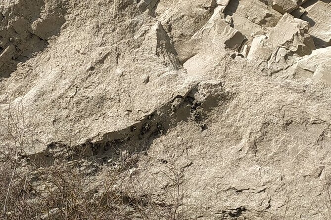 Vashlovani National Park Day Trip From Tbilisi - The Sum Up