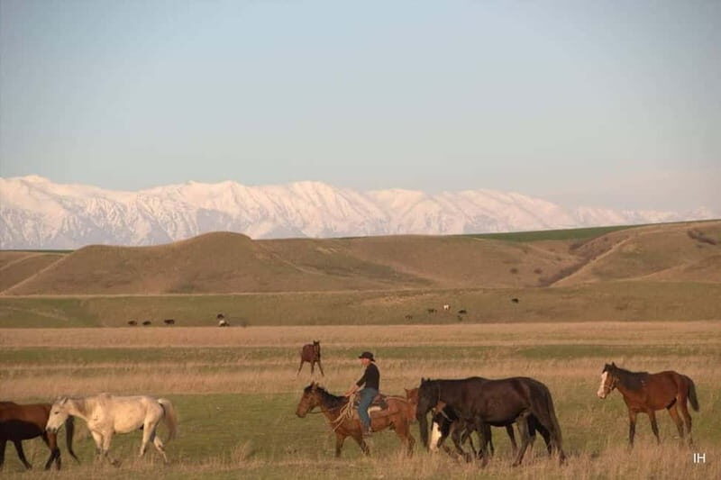 Vashlovani Nature Reserve: Horse Riding Tour - What to Expect from Your 2-Day Horse Riding Experience in Vashlovani