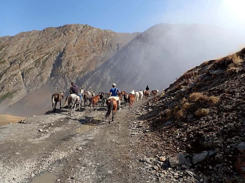 Vashlovani Nature Reserve: Horse Riding Tour - Authentic Experiences and Hidden Gems