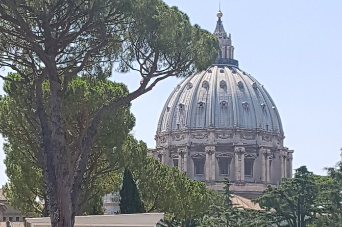 Vatican Museum and Sistine Chapel: Enjoy a Private Half Day Tour - Customer Experience Insights