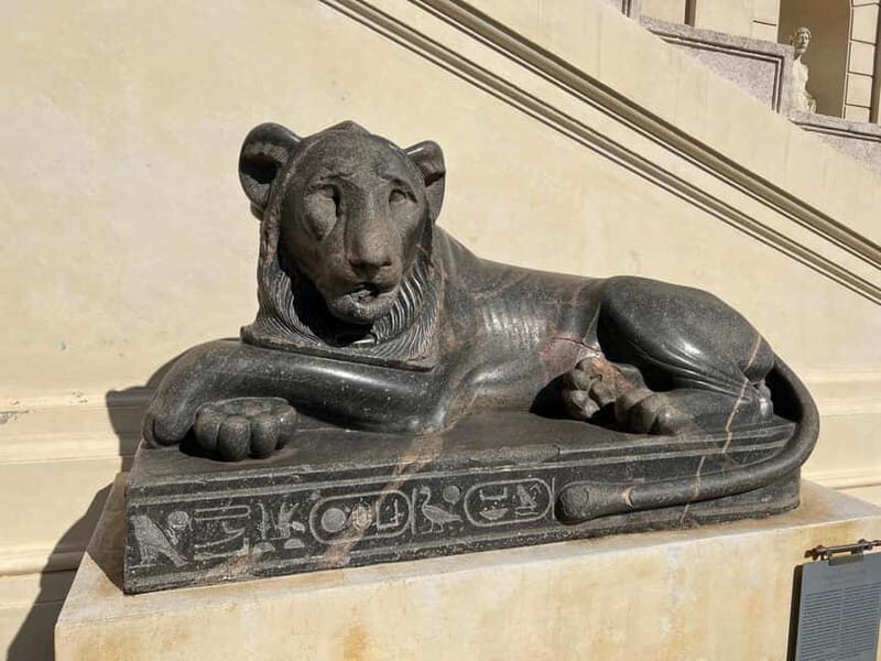 Vatican Museums & Sistine Chapel Tour with Optional Basilica - Group Size and Tour Experience