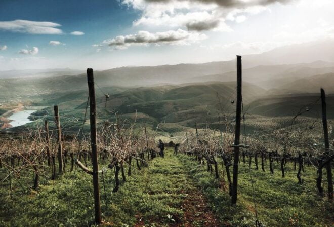 Vatolakkos, Crete: Organic Winery Tour With Tasting - Organic Winery Experience