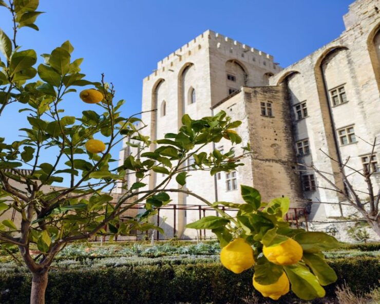 Vaucluse: Provence Pass With 15 Activities and Discounts - Experience Highlights and Formulas