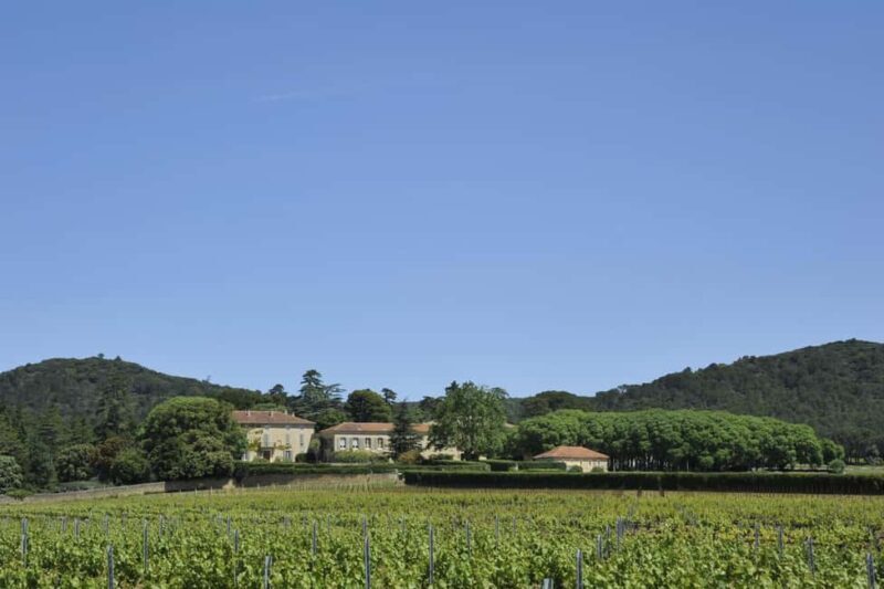 Vaucluse - Tasting & tour at Château Saint Estève: La Verticale - Practical Details and Tips