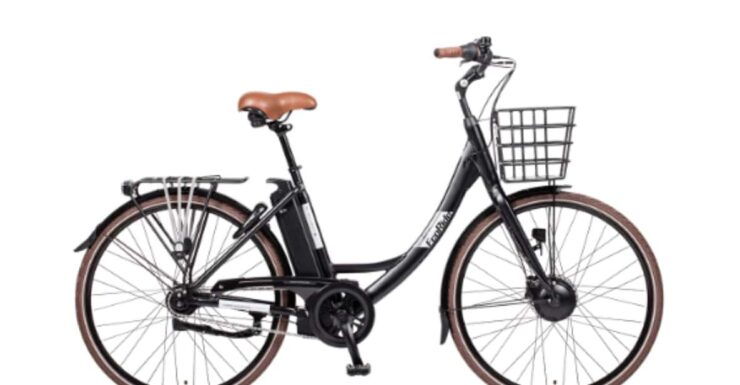 Växjö: Bike Rental - Bike Options and Accessories