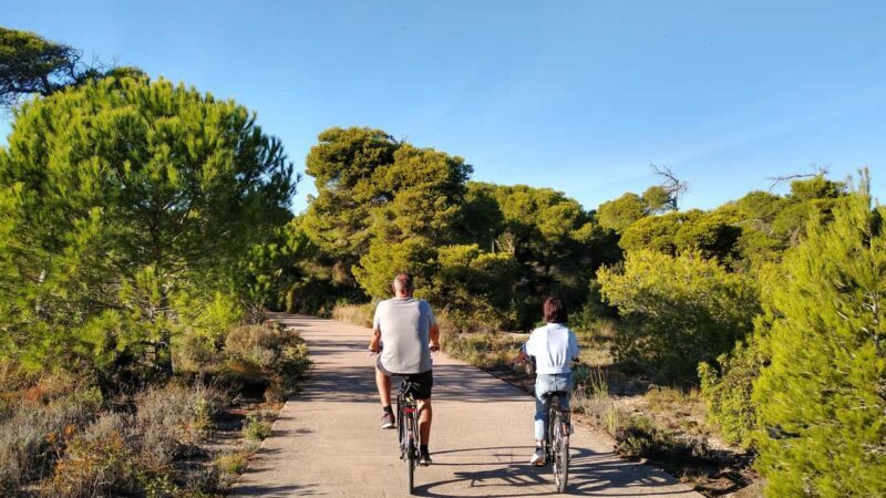 Vegan Bike Tour Albufera/Little Venice w/ Paella & Horchata - Practical Details and What’s Included