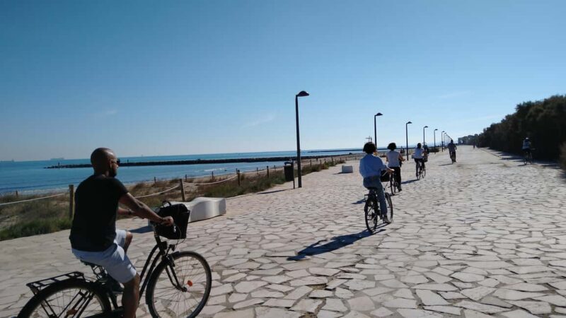 Vegan Bike Tour Albufera/Little Venice w/ Paella & Horchata - Final Thoughts: Who Will Love This Tour?