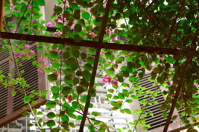 Vegan Cooking Class in Local Villa With Market Visit - Free Pickup & Dropoff - Common Questions