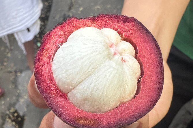 Vegan Food Tour - Untold Stories of Hoi An - Unveiling Unique Ingredients and Flavors