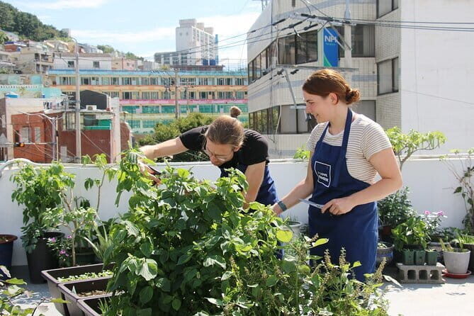 Vegan Friendly Korean Food Cooking Class - Good To Know  