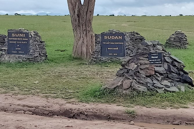 Vegans Special Safari - Accommodation and Meals