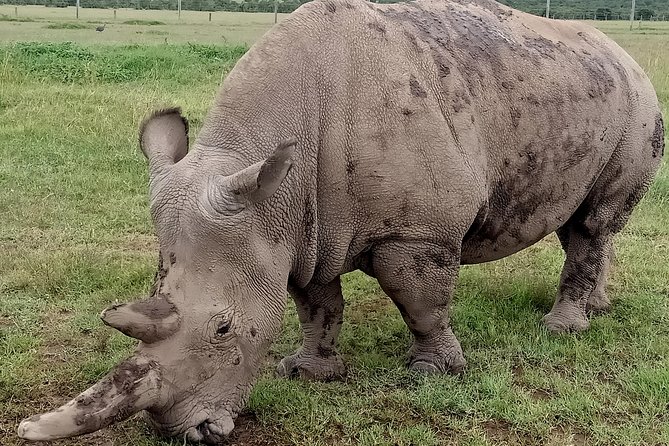 Vegans Special Safari - Transportation Details